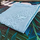  30cm*30cm 250GSM Wiping Cloth Dish Cloth Car Wash Cloth Microfiber Glass Cloth
