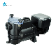  Starmatrix SMP-Wa1101 Mini Swimming Pool Filter Pump Motor for Swimming Pool