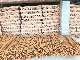  Polished Unpaint and Paint Wooden Brush Handle Broom Stick