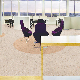 Wholesale Easy Cleaning Made in China Indoor Eco-Friendly Vinyl Floor manufacturer