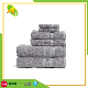  100% Cotton Bath Towel for Five Star Hotel Hotel Home Supply White Cotton Bath Towel (25)