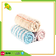  Custom 100% Cotton Towel with Embroidered Logo (35)