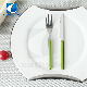  Modern Portable 18/0 Stainless Steel Plastic Handle Fruit Knife and Fork