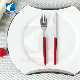  Modern Portable 18/0 Stainless Steel Travel Cutlery Set, Plastic Handle Fruit Knife and Fork