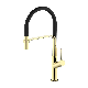 Golden Kitchen Telescopic Swivel Zinc Alloy Faucet, Single Handle