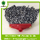  Factory Selling 200g White or Color Cotton Mop Head