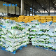 Top Grade Quality Powder Washing Detergent / Laundry Washing Soap Powder
