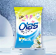 500g New Arrive Cheap Price Strong Decontamination Floral Washing Powder for Clothes