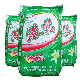  Cheap Laundry Detergent Chinese Supplier Detergent Fragrance Detergent Powder