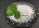  Free Samples Customized Packaging of Lemon Flavored Multifunctional Washing Powder/Laundry Detergent