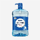  Soft Soap for Hand Washing (10)
