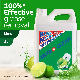  5L Antibacterial Deep Cleaning Lime Dishwashing Liquid