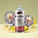  500ml Aerosol Dry Spot Remover Spray for Industry