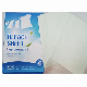  OEM/ODM Bleach Sheets for Washing White Clothes Bleach Spot Treatment Sheet