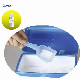 Refreshing Lime Fragrance Oil for Detergent Powder manufacturer