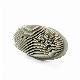  100% Silicon Body Head Brushes for Baby Shower Massage