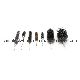  Steel Wire Tube Brush Cleaning Pipe Brush (YY-848)