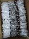  Taper Style Nylon Wire Tube Brush (YY-774)