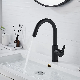 Hot and Cold Water Flexible Hose for Kitchen Faucet Kitchen Sink Tap with Pull out Spout Black Color Sale manufacturer