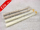 Biodegradable Eco-Friendly Straw Toothbrush