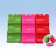 Factory Supply Plastic Ice Freezer Pack/Gel Ice Pack Food