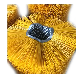  Poly Runway Sweeping Tractor Rotary Brushes Wafer Road Sweeper Brushes