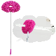  Ceiling Fan Cleaner Duster with Extension Handle Long Reusable Microfiber Ceiling Fan Blade Cleaner Removable Washable