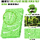 Magic Eco Friendly Compressed Cellulose Sponge Kitchen Dish Washing Cleaning Sponge Cloth manufacturer