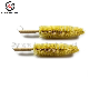 Portable Car Tire Cleaning Brushes Spoke Brushes