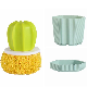 Cactus Shaped Cleaning Brush with Handle Detachable Nano Cleaning Ball