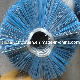  Blue Colour Bent Circle Road Sweeper Brush (YY-118)
