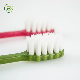  Cheap Hot Selling OEM FDA Approved Adult Soft Toothbrush