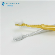 Adult Toothbrush with High Quality Soft DuPont Bristles Biodegradable Handle manufacturer
