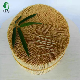  Economical Super Cheap Disposable Bamboo Toothpick