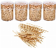  Bamboo Wooden Toothpicks Round Toothpicks for Party, Olive, Fruit, Teeth Cleaning