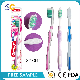  Soft Nylon Colouful Adult Toothbrush