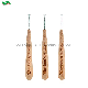 Dental Clean Orthodontic Biodegradable Customized Bamboo Dental Interdental Brush