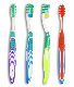  3- Component Customized High Quality Adult Toothbrush
