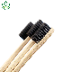  Eco Friendly Bamboo Toothbrush Bamboo Natural