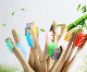  Bamboo Brush Custom OEM Soft Household/Travel Nylon Oral Care Toothbrush