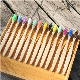 Biodegradable Professional Eco-Friendly Bamboo Toothbrush