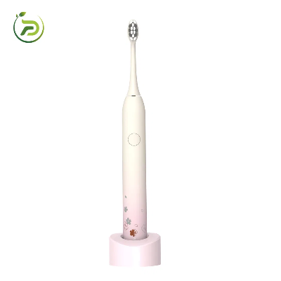 Wireless Inductive Charging Base Sonic Electric Toothbrush