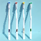  Glaze Popularity Simple Design PP Brush Handle Adult Toothbrush