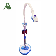  New Blue Light Teeth Whitening Lamp with Blue/Red/Purple Light