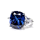 Fashion Exquisite Luxury 925 Silver Inlaid High Carbon CZ Diamond Banquet New Royal Blue Large Zircon Women Men Ring