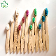OEM&ODM Best Selling Wholesale Bamboo Toothbrush
