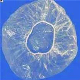  Disposable Hotel PE Shower Cap with Printed or Transparent Color