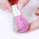  Nail Dust Cleaning Brush Nail Art