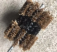  Shoe Polishing Industrial Cleaning Tufted Horse Hair Bristle Roller Brush