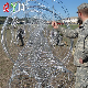  Welded Galvanized Concertina Razor Wire Fencing Sharp Blades